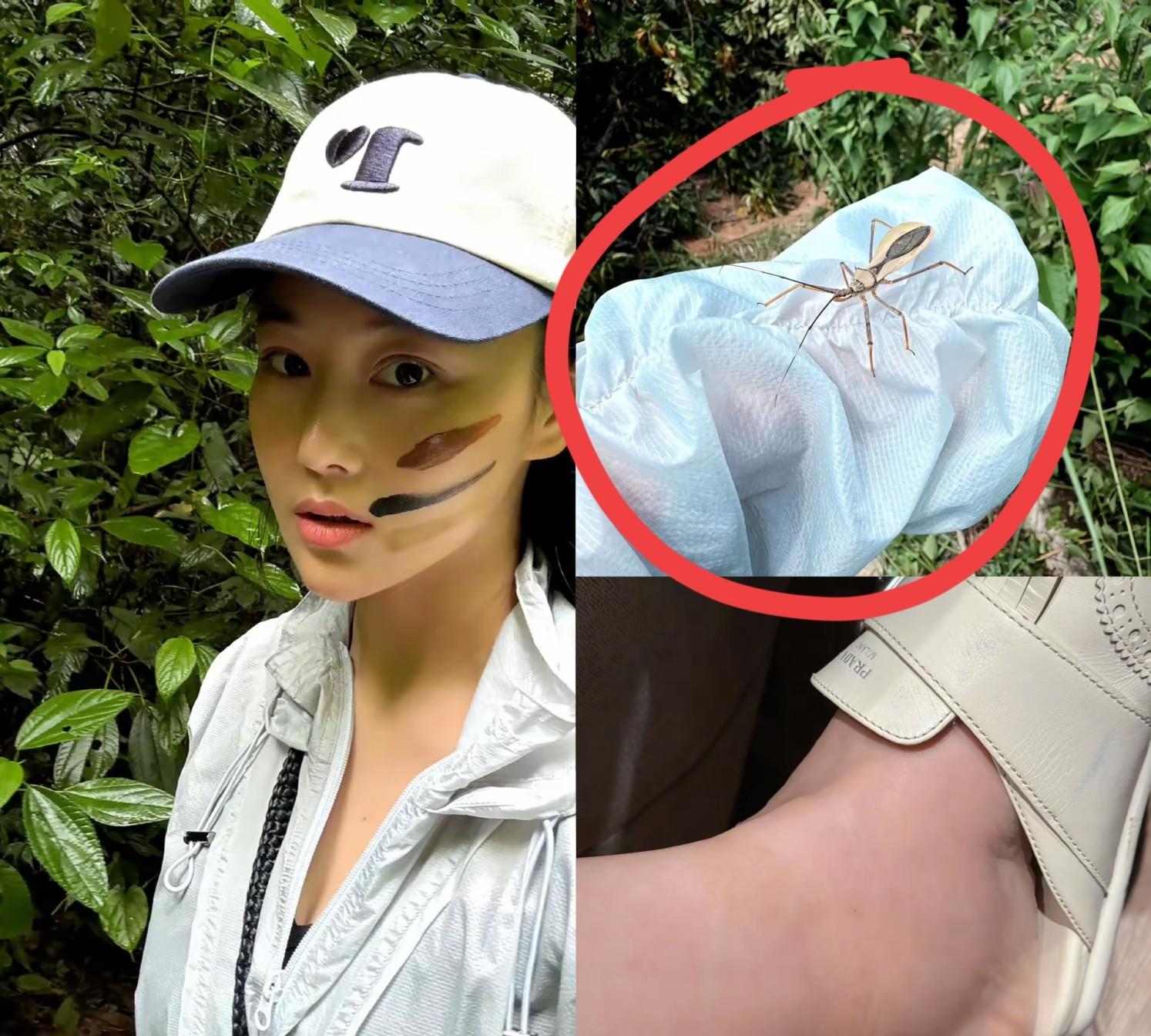 张馨予这趟云南之旅彻底打脸了！可真是计划赶不上变化！本来以为会是和老