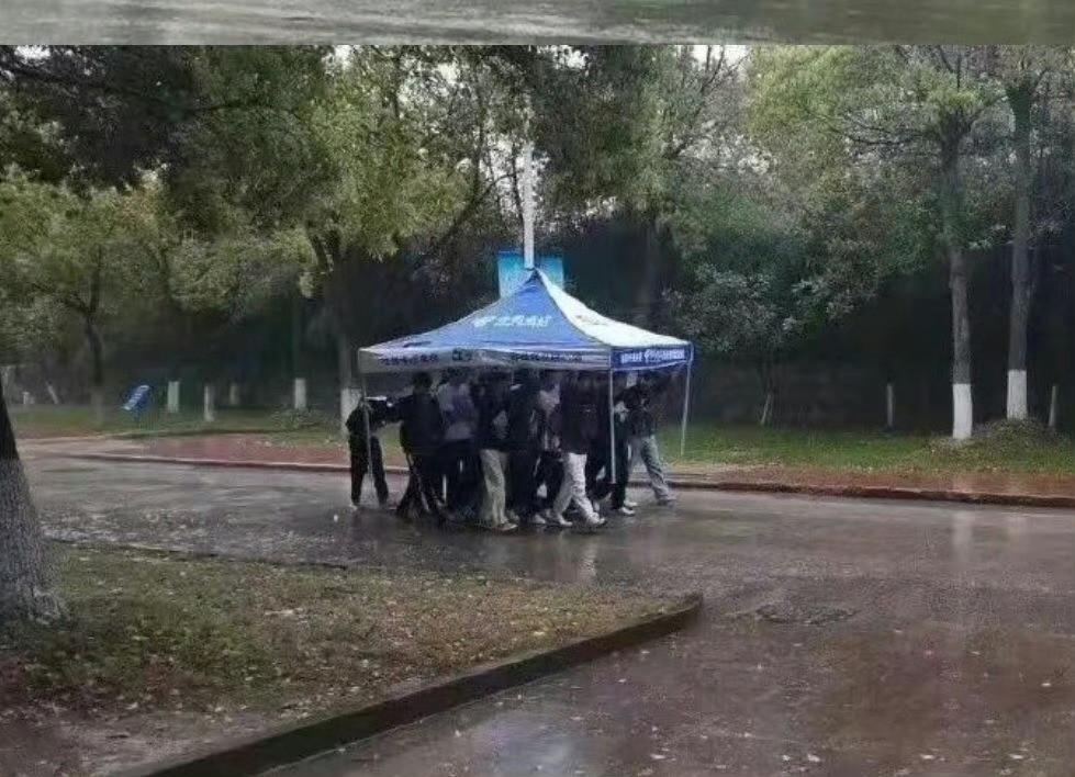 大学生躲雨的方式主打一个团结就是力量