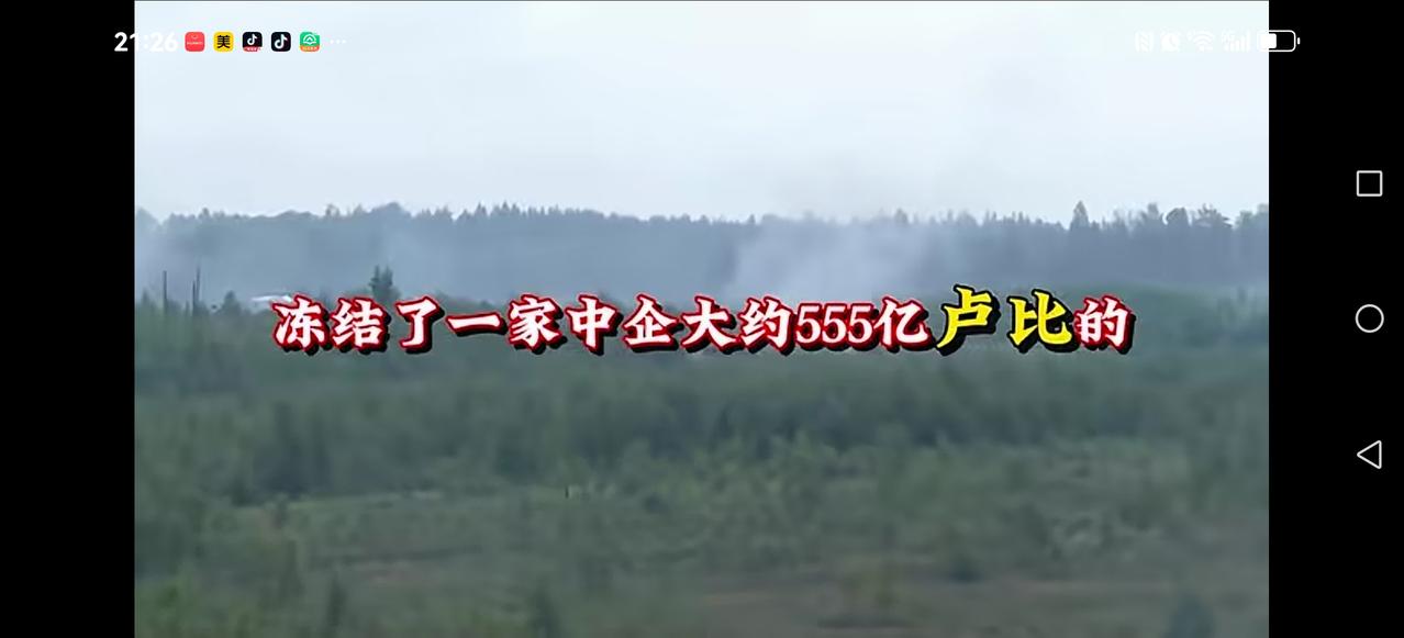 【印度为什么敢明目张胆欺负我们？】前几年一家中企，在印度投资做生意，结果被印度