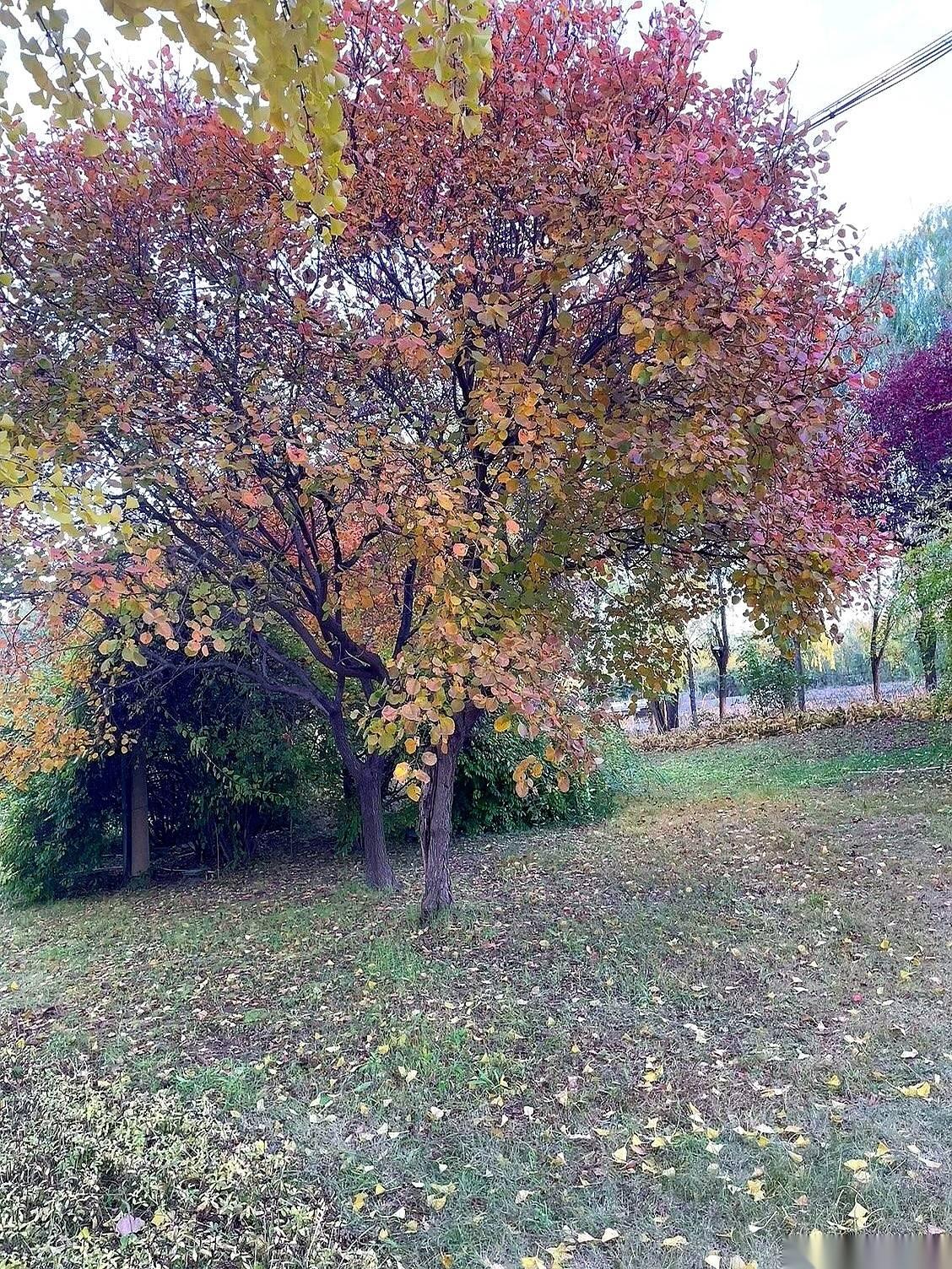 叮，手机一响。2134块。不多不少，这个月的老人牌“工资”又到账了。退休两