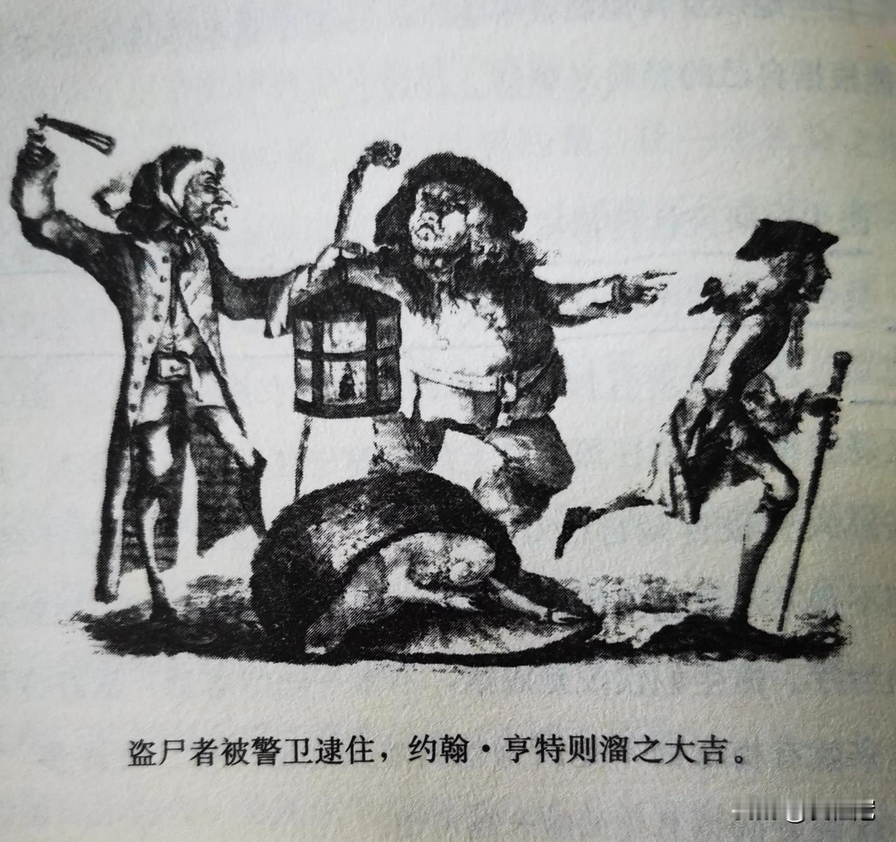苏格兰农村小伙，为研究人体解剖，抢尸，盗尸，贿赂殡葬人！约翰·亨特，一个只念