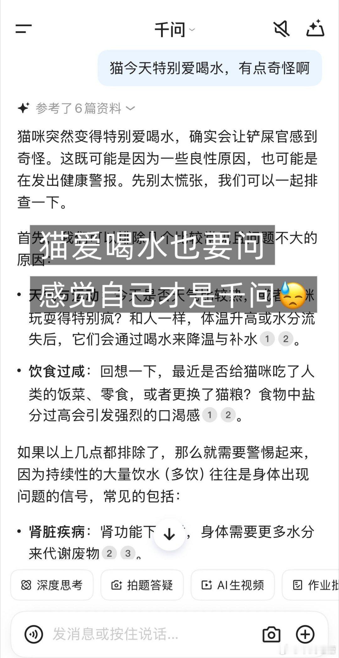 猫咪半夜跑酷的原因想给各位猫主子们强推这个千问！！！四舍五入等于请了个私人宠物医