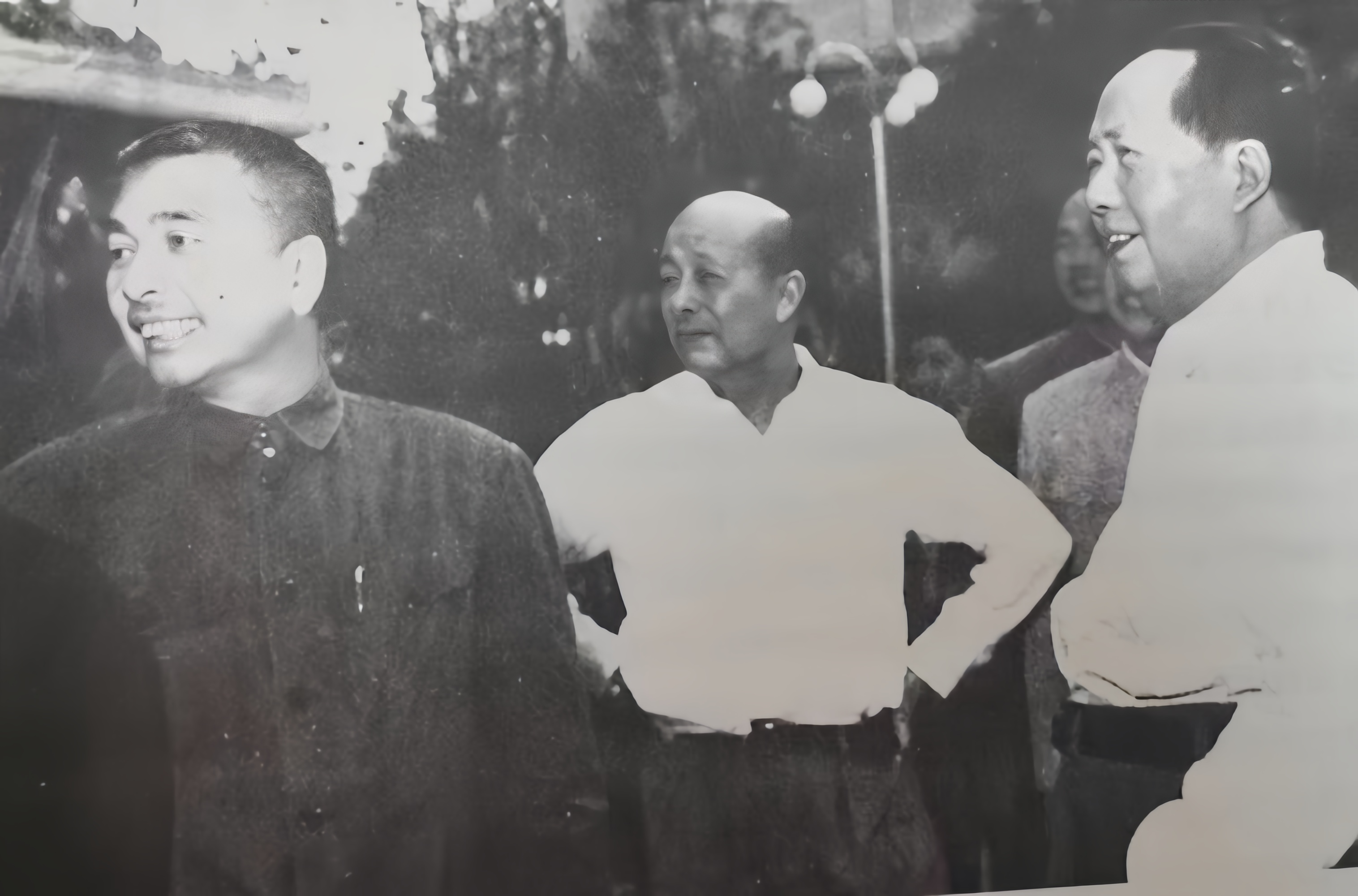 1966年八届十一中全会召开，两个人的地位迅速上升，一个是林彪，他成为二号人物，