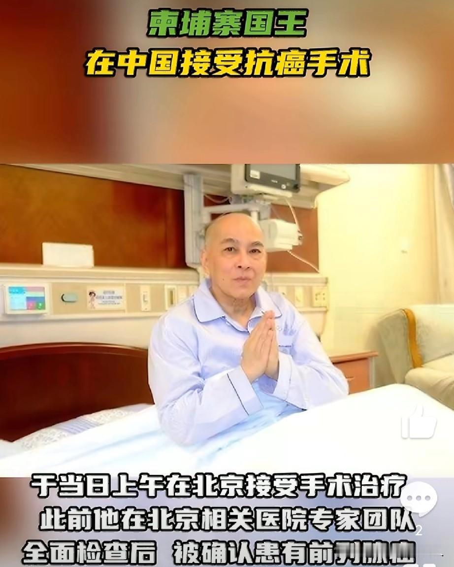 很好！就在前几天，柬埔寨国王在北京接受了抗癌手术，效果不错？据今日俄罗斯R