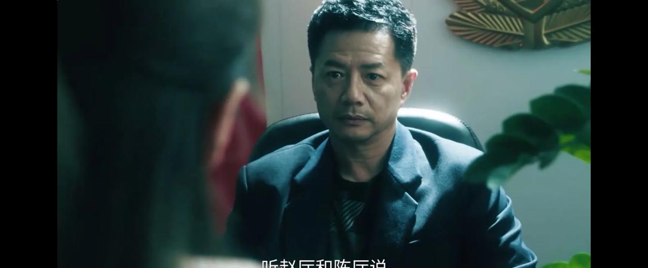 《扫毒风暴》卢少骅被抓以后，北京来的记者小曾对林强峰进行专访，还特意把他的脸挡