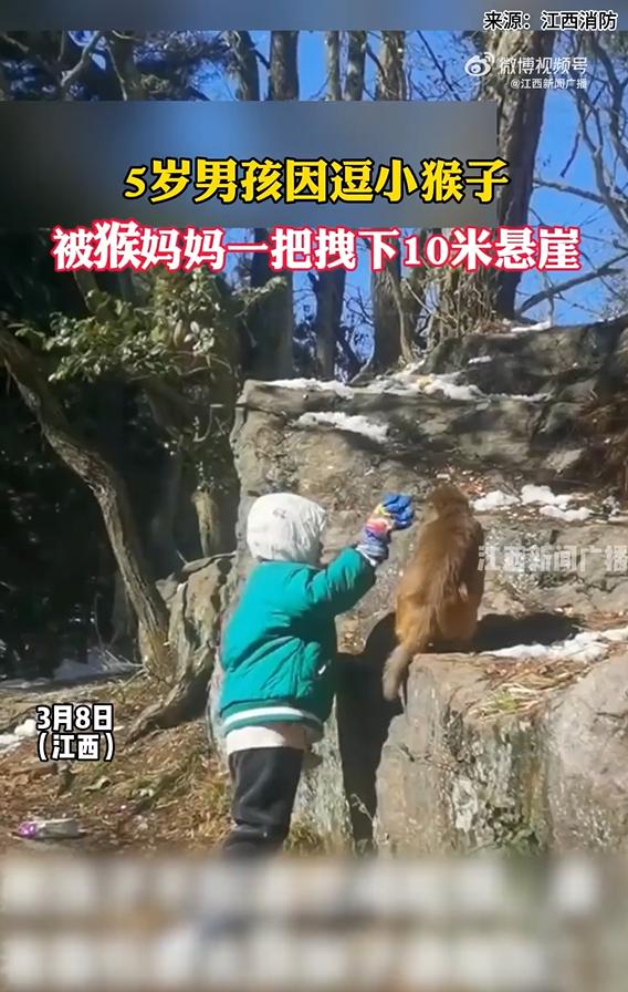 江西九江，一景区内，5岁男孩拿饼干逗弄小猴。说时迟那时快，护崽的母猴一把拽住他，