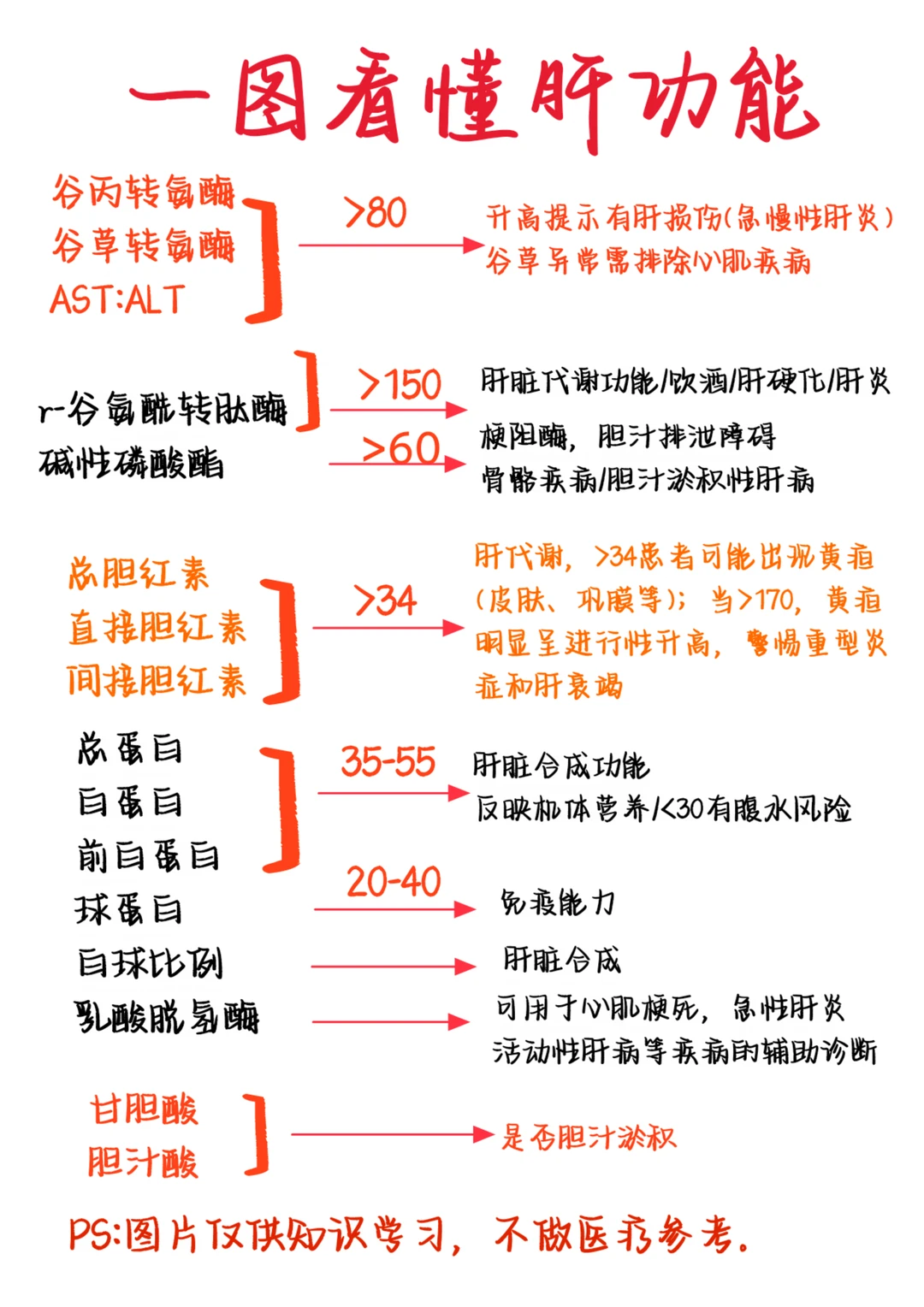 医学生笔记——一图看懂肝功能