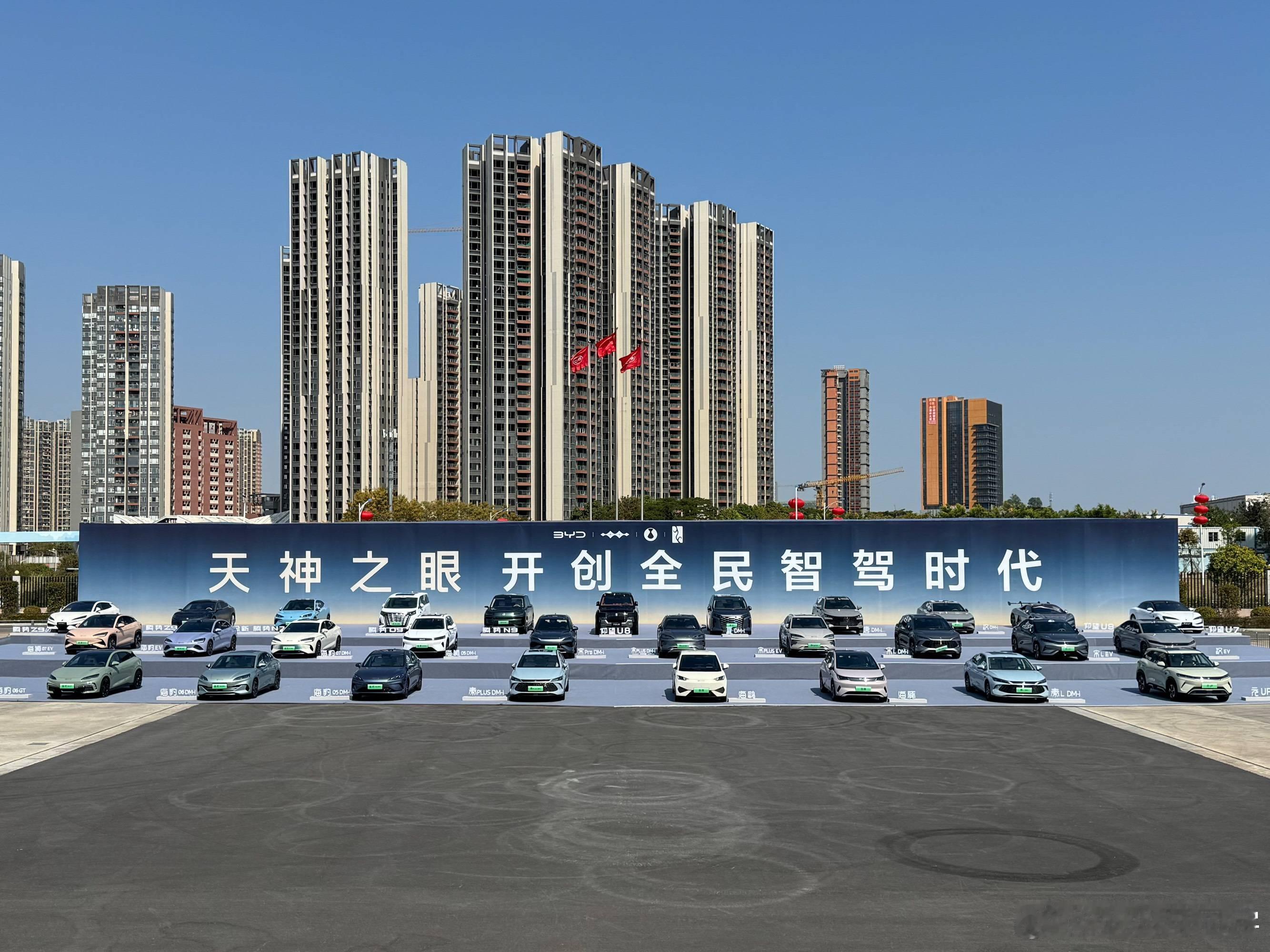 看了一下，比亚迪的智驾产品是真的丰富，虽然都叫做天神之眼，其中C系统用的是自研方