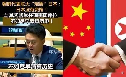 朝鲜驻联合国大使在联大安理会改革会议上拍案而起："日本作为二战甲级战败国，有什么