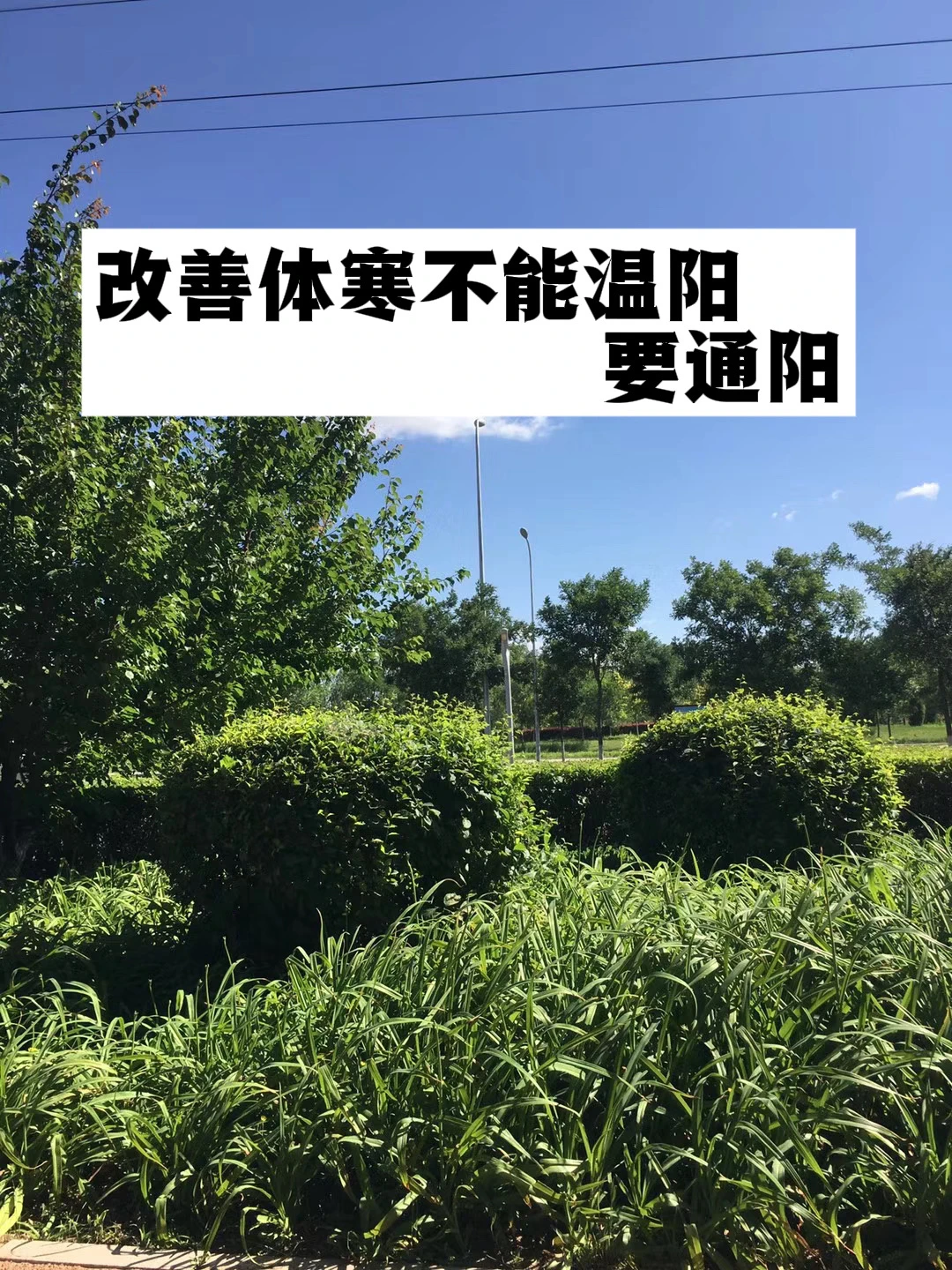 改善体寒不能温阳，要通阳.