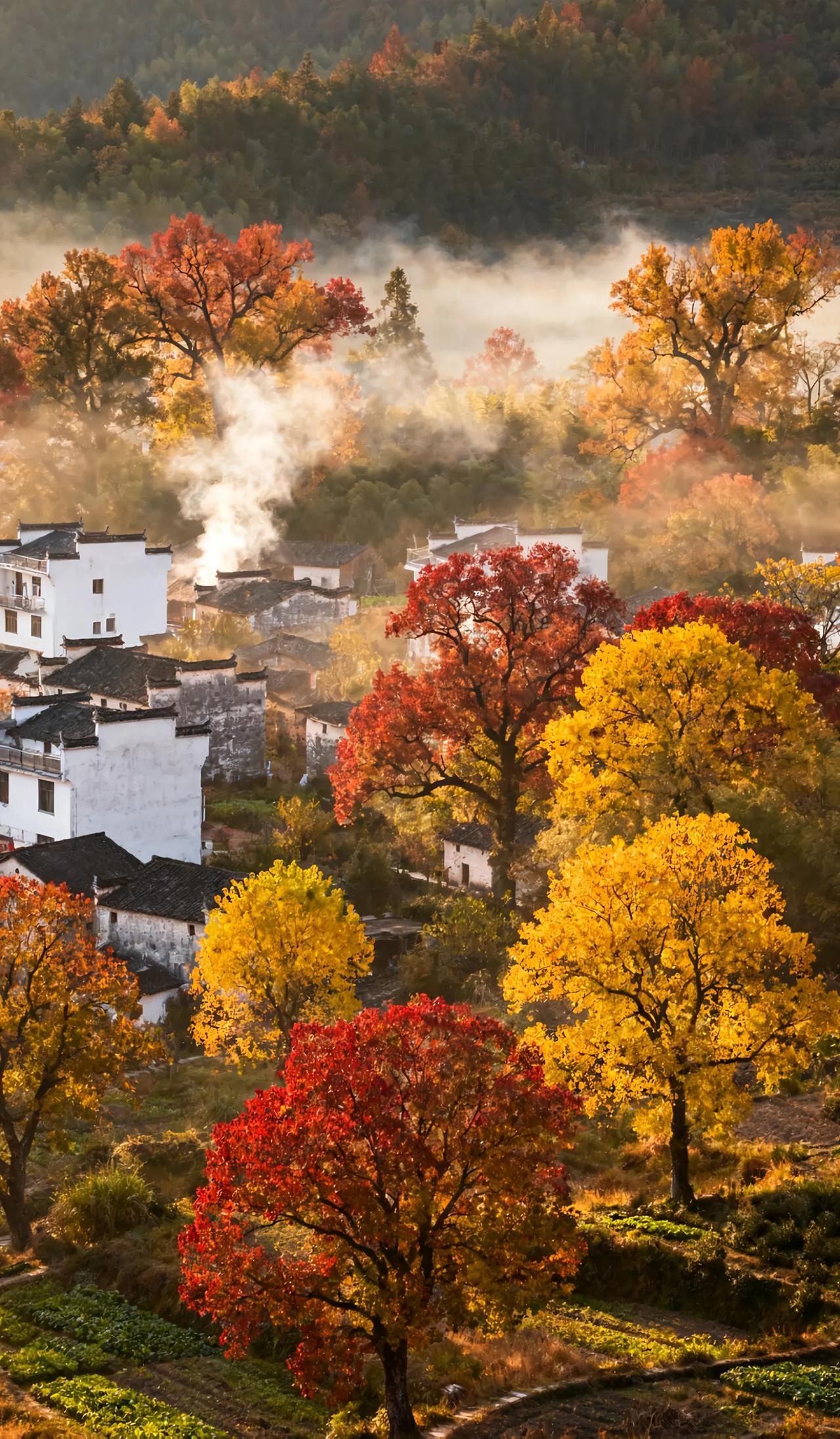 我是实在不太明白为什么现在很多人说工作不太好找？我就说我们家里面的几个亲戚吧！我