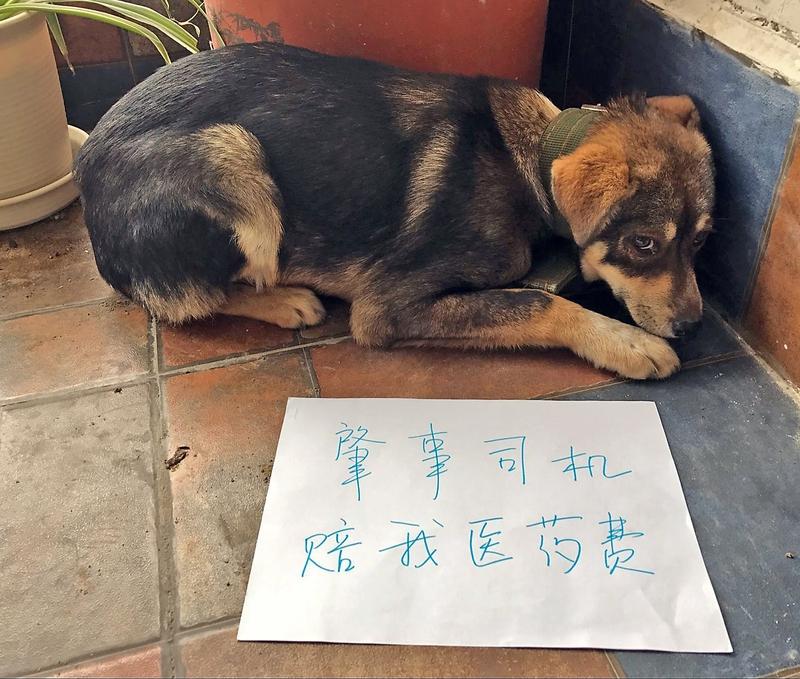 男子熟睡时脚碰到狗狗被咬伤最近看到一则新闻，一名男子熟睡时脚碰到狗狗被咬伤。男