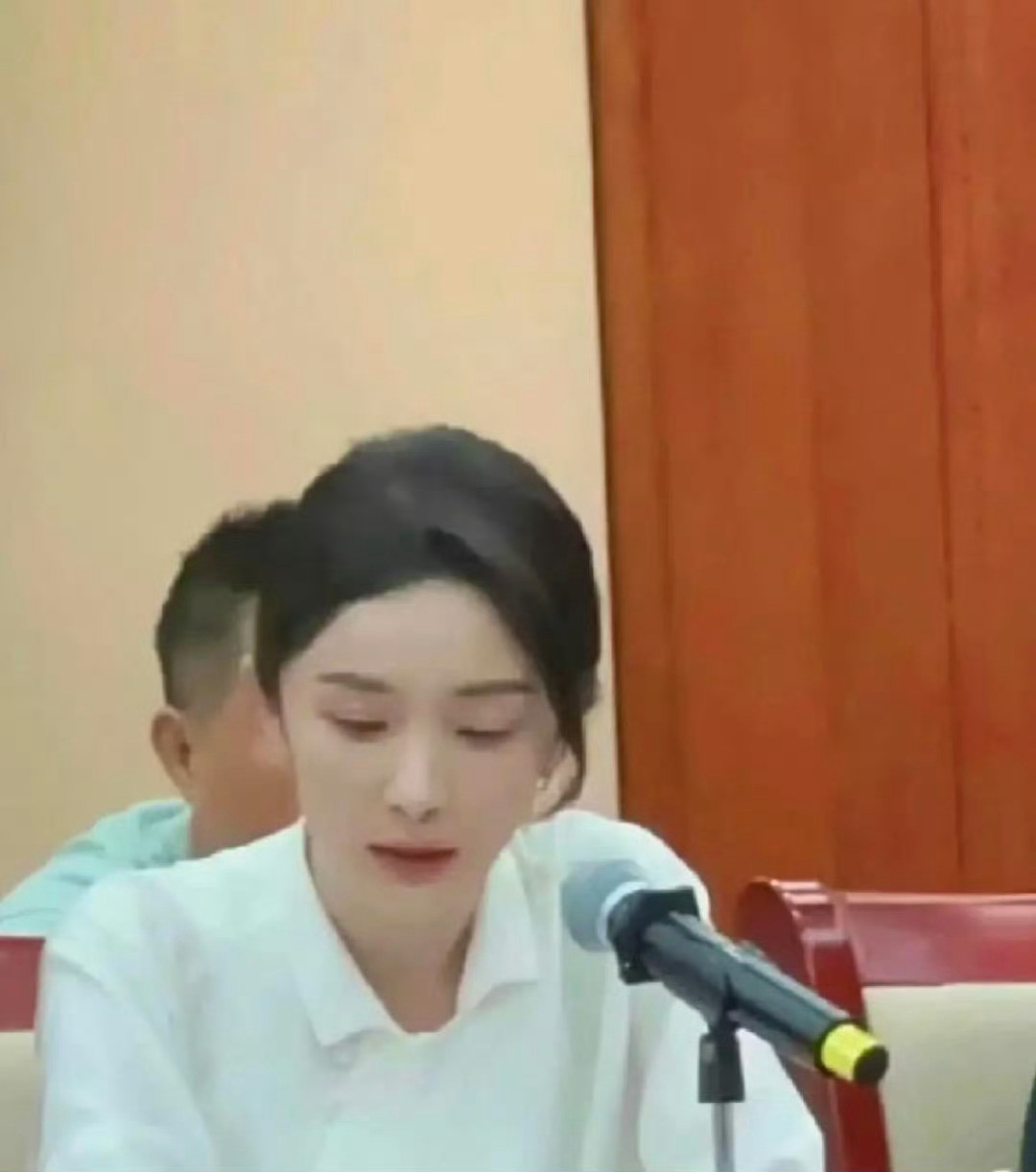 体制内的人是没有缺点的​​​