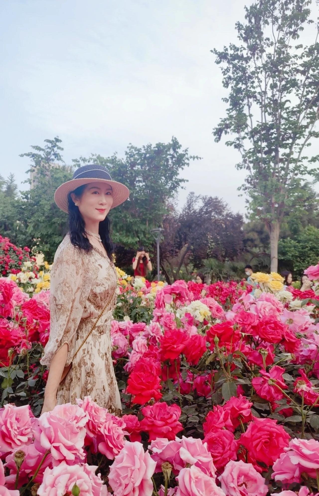 月季公园里的月季花，齐刷刷的怒放了！走进公园门口，迎面呈现在眼前的，是用无数