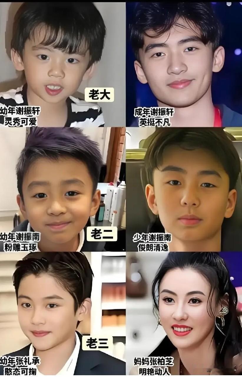 都说儿子长相随妈，张柏芝仨儿子里谁遗传了她的“神颜基因”？看完对比图我才发现