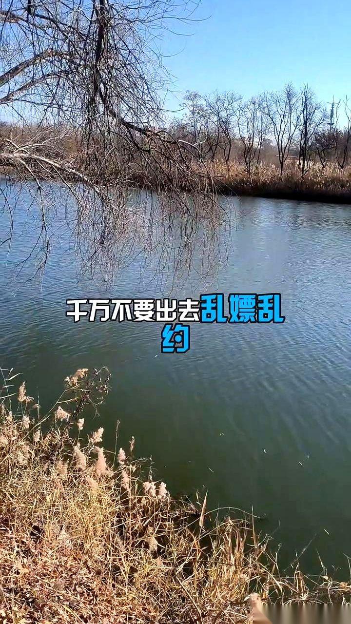 你以为你花钱买的是一夜风流？别天真了。你买的，是别人前半生所有的烂账，一笔勾