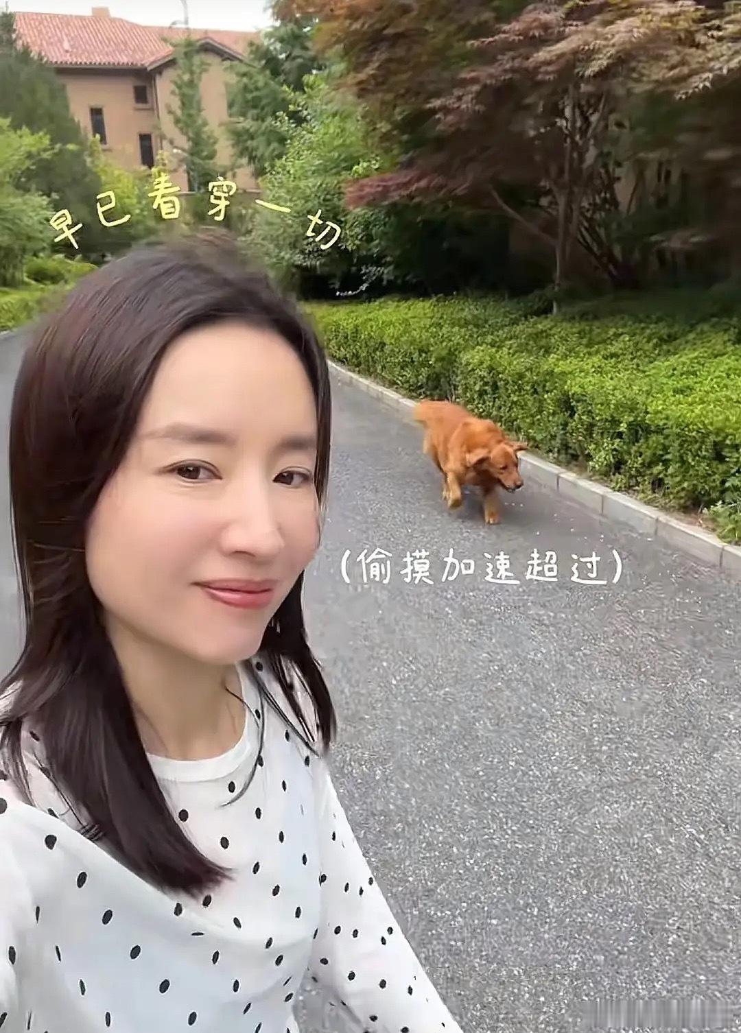 董洁晒自家在大连的别墅，独栋带院子至少500平，儿子顶顶小时候领养的大金毛狗就放