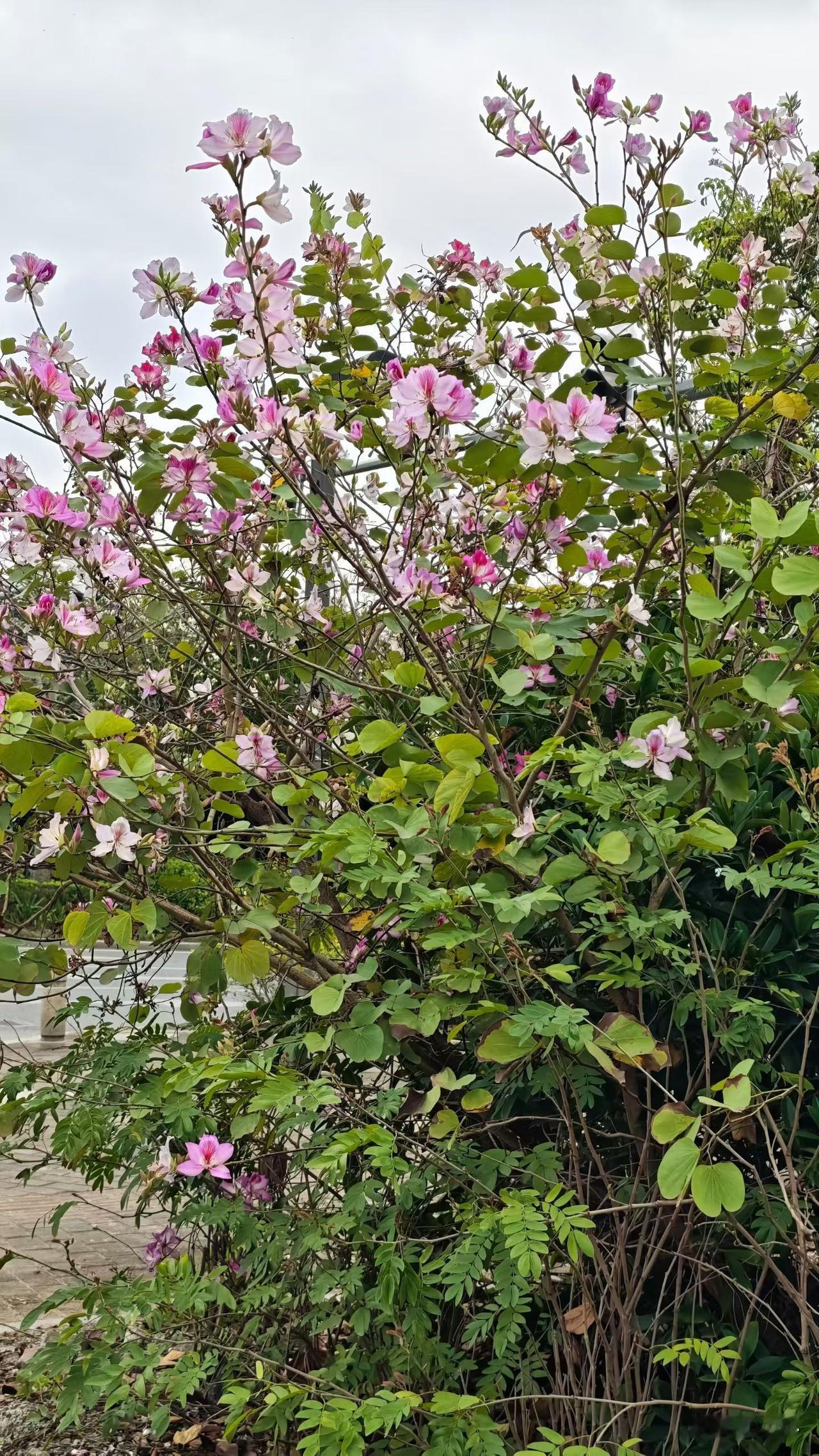 工厂最让人寒心的潜规则，多少新人被逼着离职，太现实了进厂打过工的人，应该都