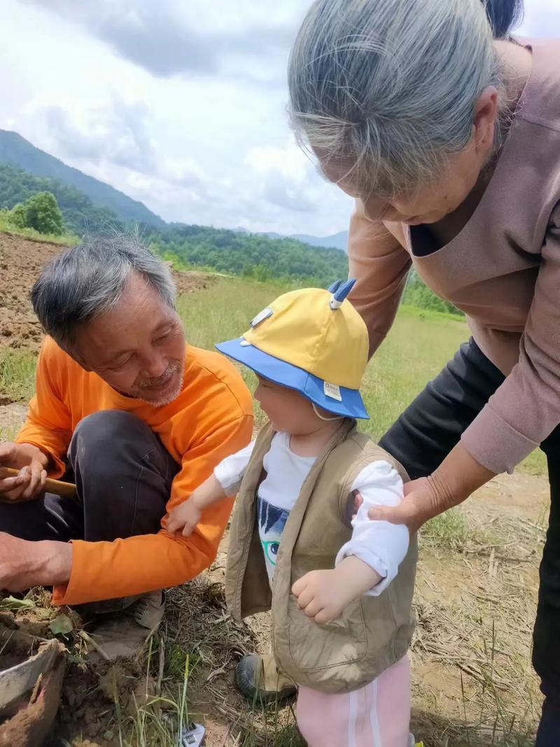 昨天朋友在我家倒苦水，告诉她在儿子家三多年的种种，就是：小心翼翼、忍气吞声、