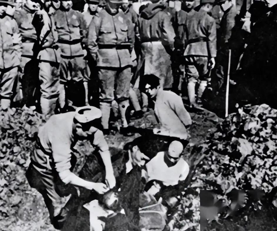 研究日军侵华，发现日军和德军最不同的一点就是，德军是干坏事的职业军人，他们杀人是