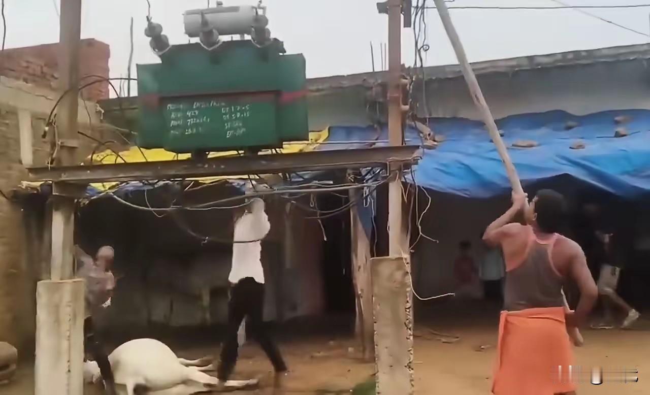 为神牛复仇砸变压器，🇮🇳村民这脑回路真是让人不可思议！离谱新闻又来自
