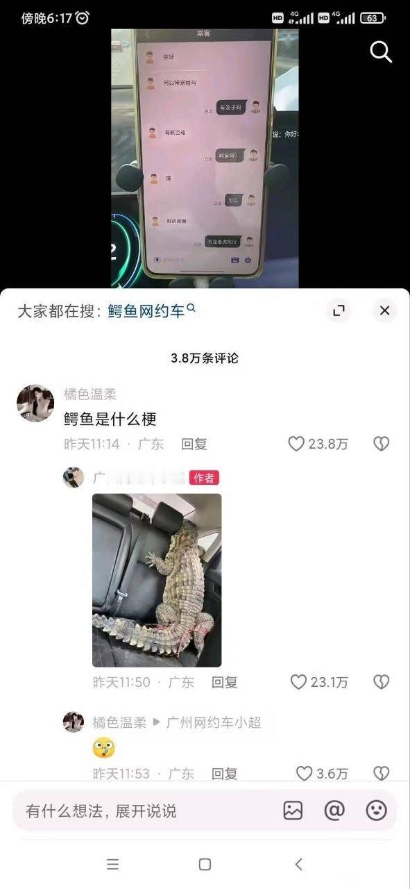 🐊🐊🐊🐊🐊🐊🐊