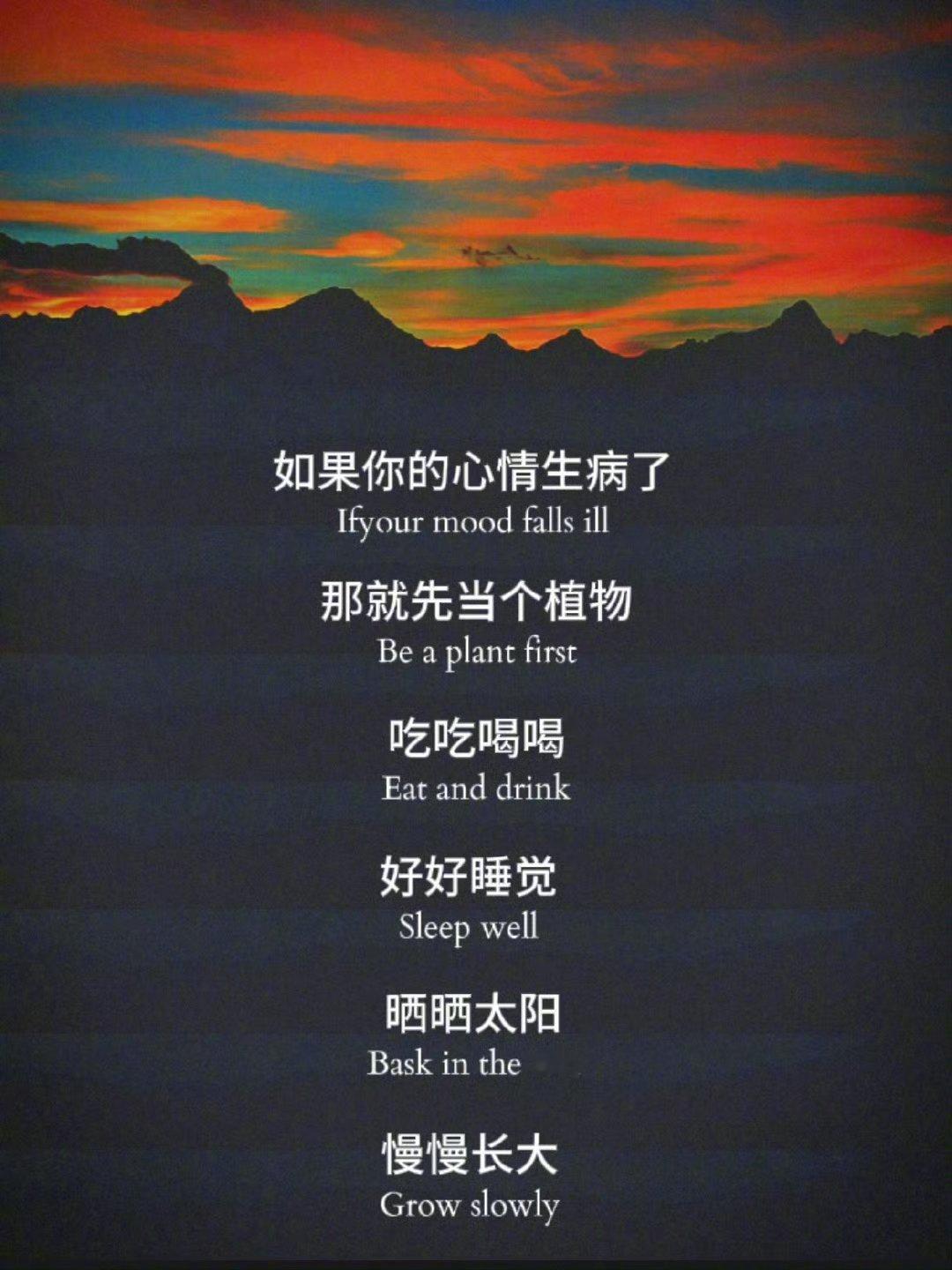 如果你的心情生病了那就先当个植物​​​