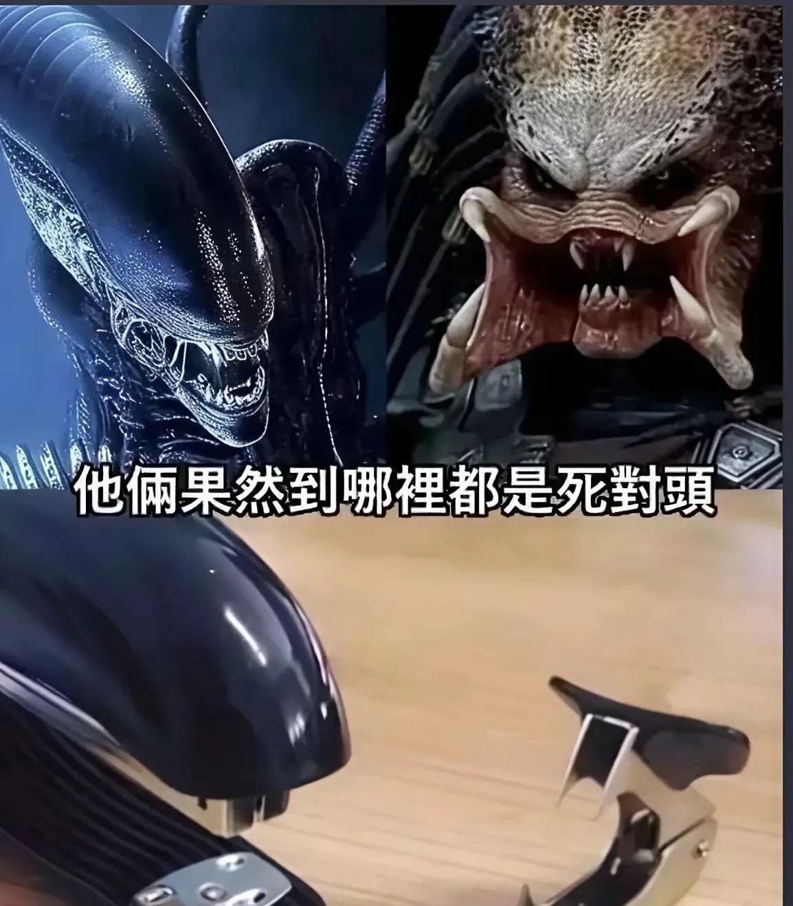 这个[捂脸哭][捂脸哭][捂脸哭]