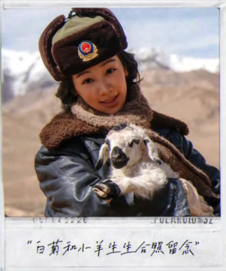 生命树高原冻土生生不息杨紫白菊守卫蓝天演员杨紫和明星小羊的合照[吐舌头眯眼睛笑]