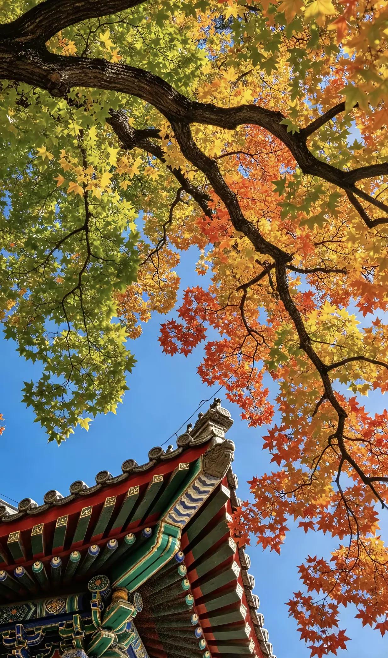老郭提侯震是长子长孙，不是封谁的嘴，那是给侯家一个体面，可惜的是，侯家人没接。