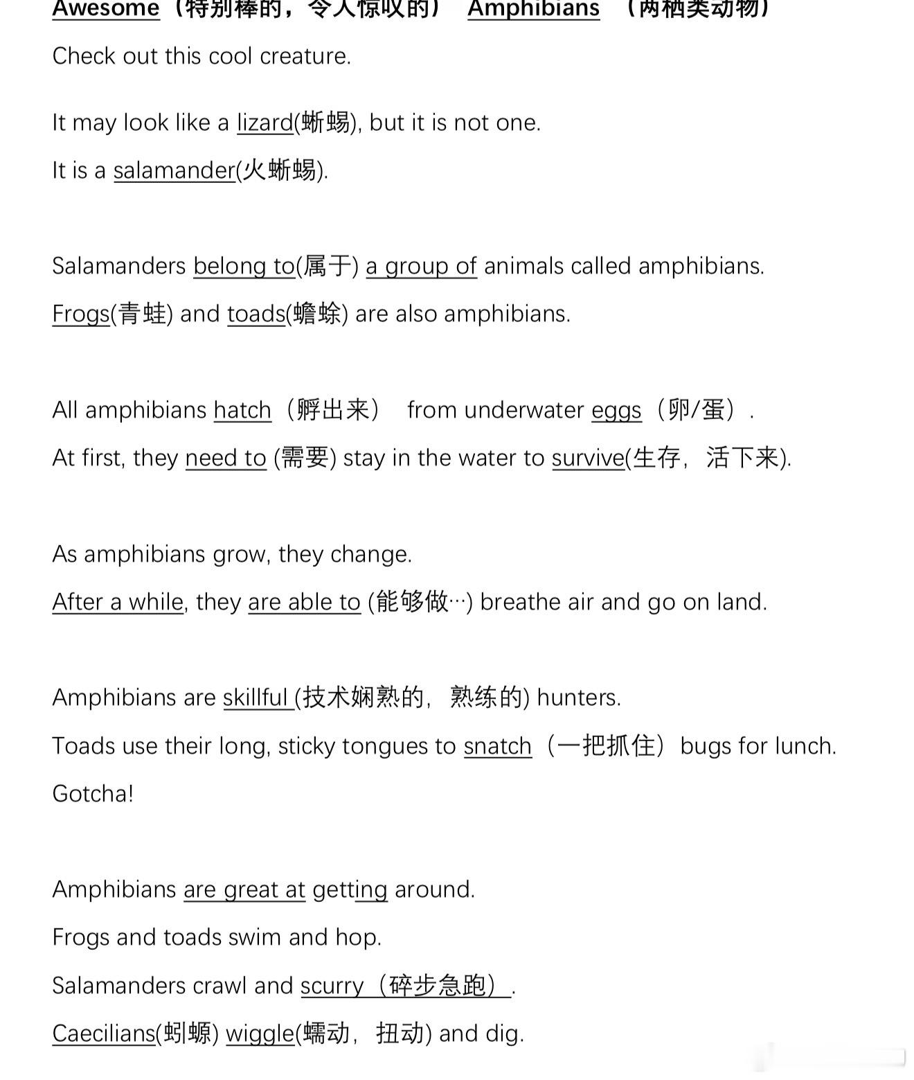北京高年级小学生学的课外英语……