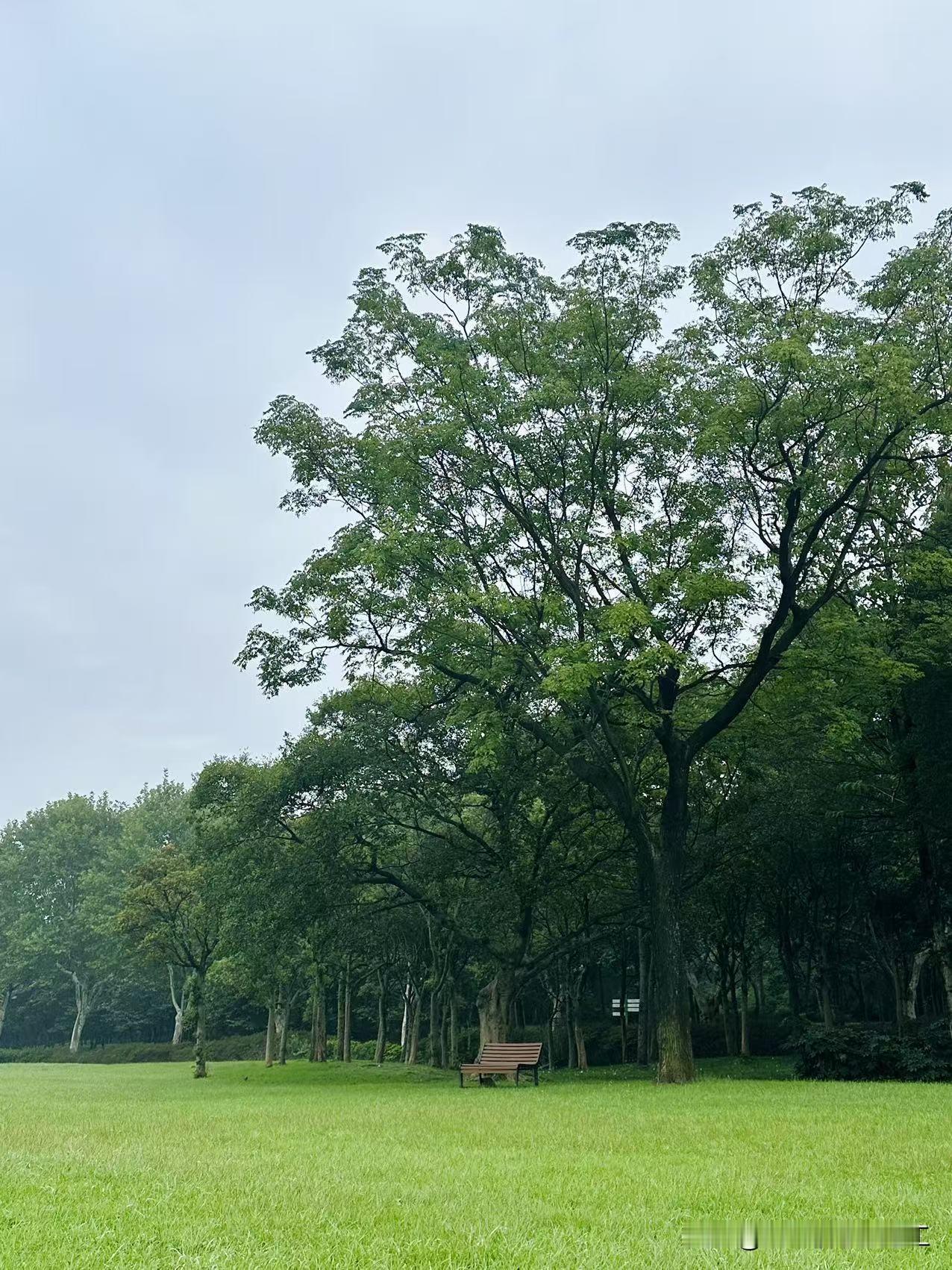 有网民分享香港中产家庭的日常开支：供楼:20000（未计息口升或跌），还有