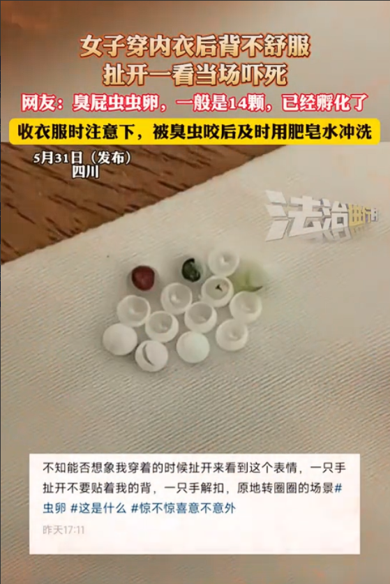 “太恶心了！”5月31日四川，一女子起床穿内衣，结果，却总感觉扣不舒服，她将内衣