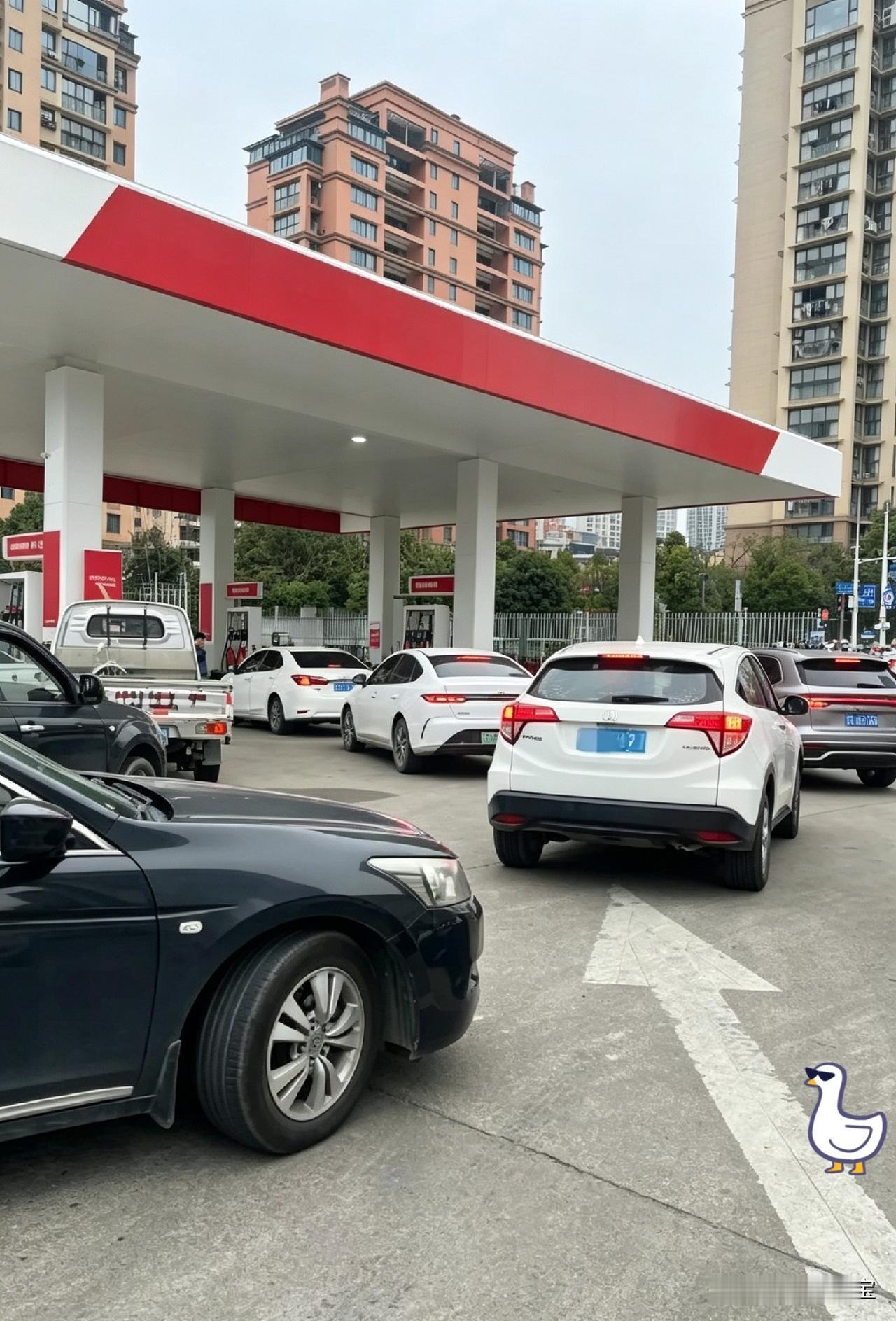 所有油车车主，今天终于算是熬到头了，7月4日，油价从8.04每升下调到了7