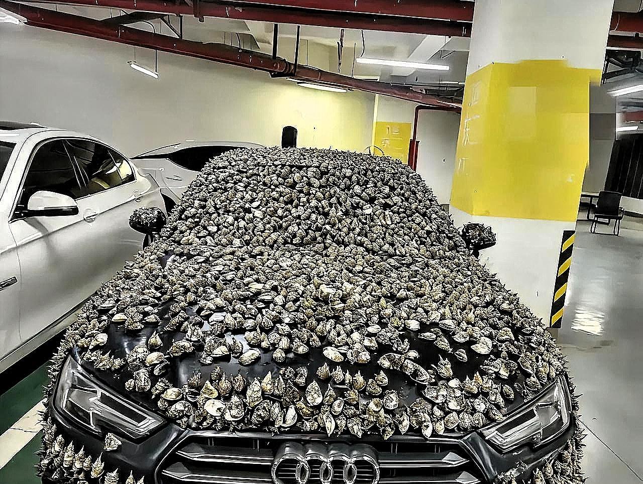 “一分钱不要，也得让你长记性！”业主车位被霸占10天，一怒之下做了这种事自