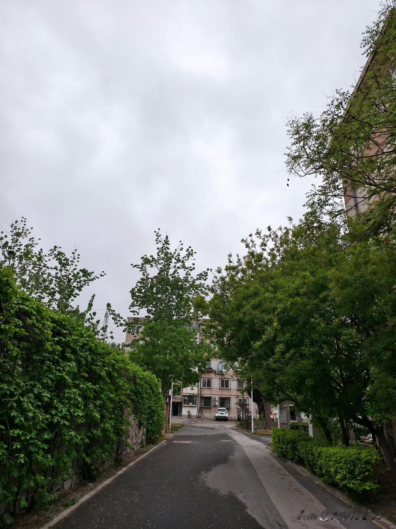 同时举起手机的两个取景效果，时间差1秒，效果差一倍啊。