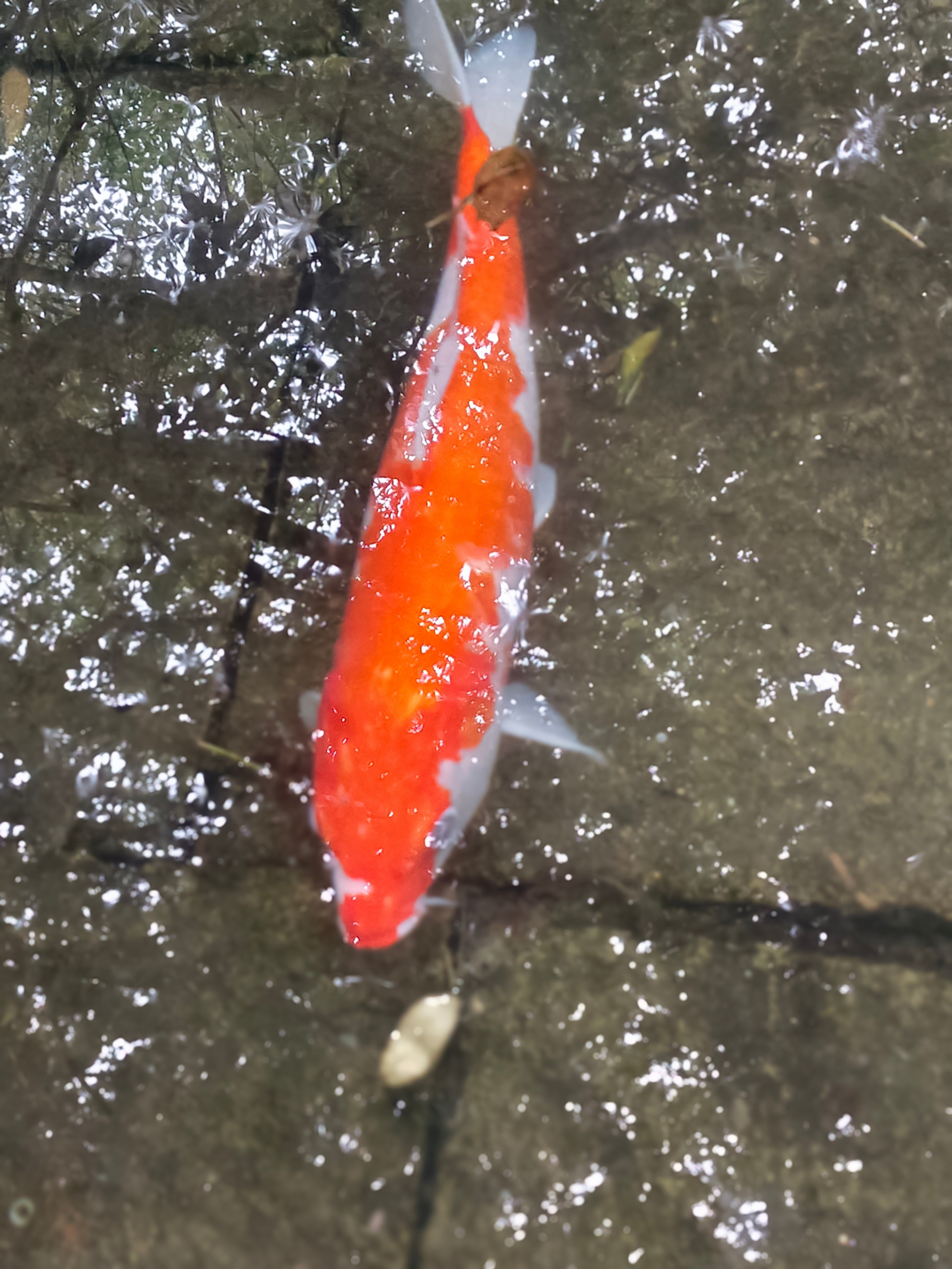 致考研人：此行是一站，更是一战考研人最后的日子真的又苦又燃。被复习资料埋到看不见