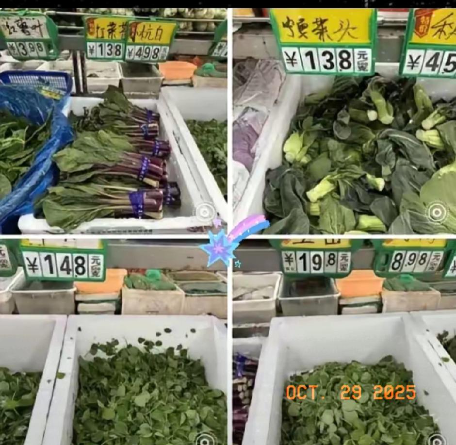 家人们谁懂啊！上海菜场这波菜价直接把我看懵了——前阵子还三五块一斤的小