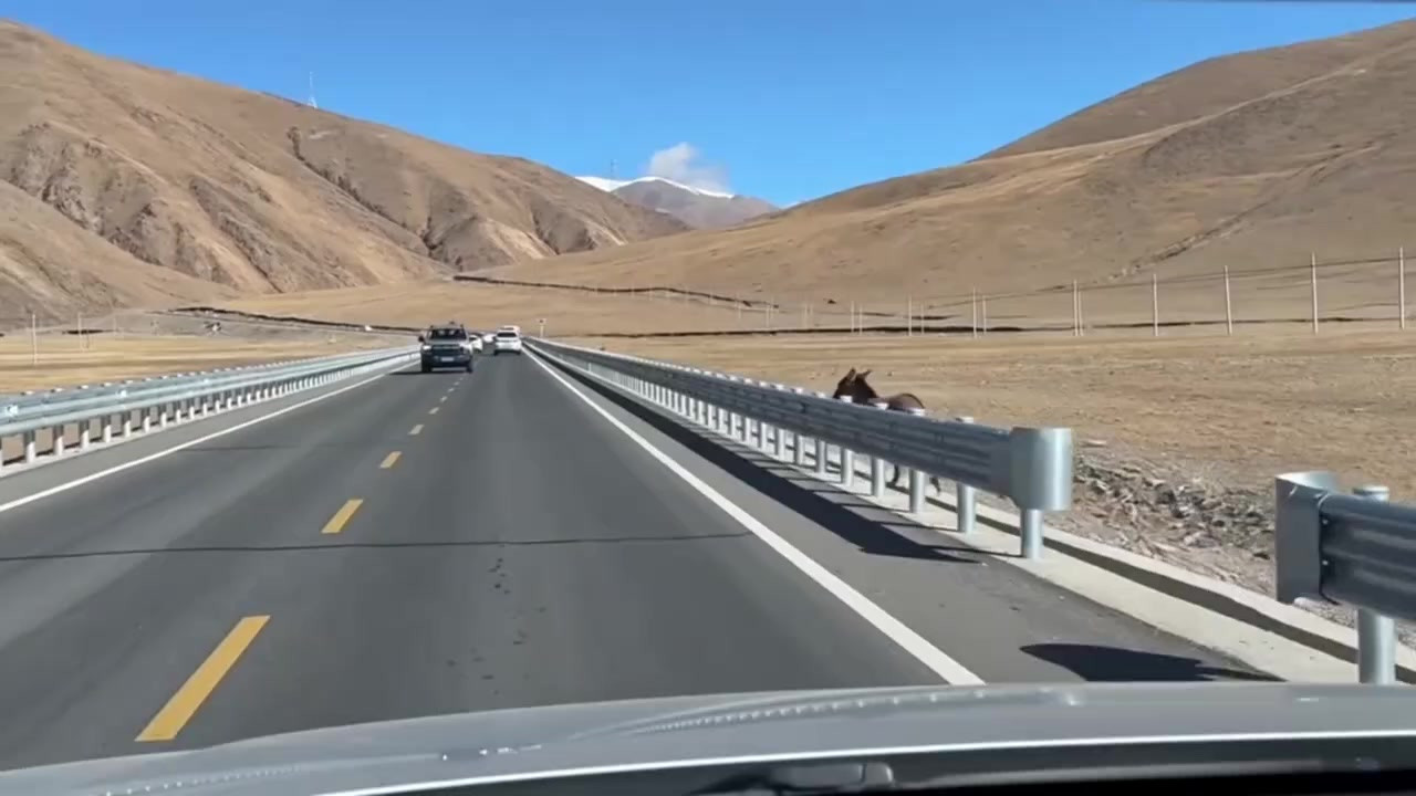 发生在无人区公路上的惊险一幕