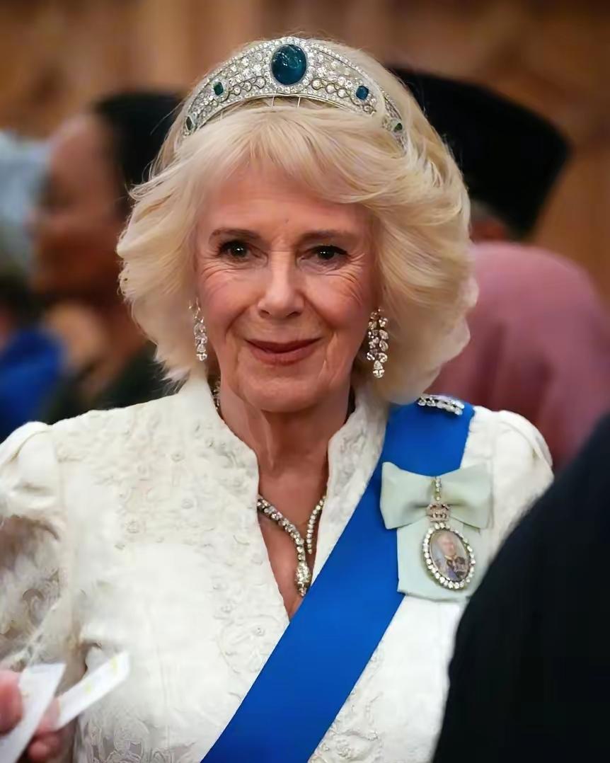 “早知今日何必当初”，卡米拉后悔了吧！为何？因为她的位置，无比尴尬！拥有王