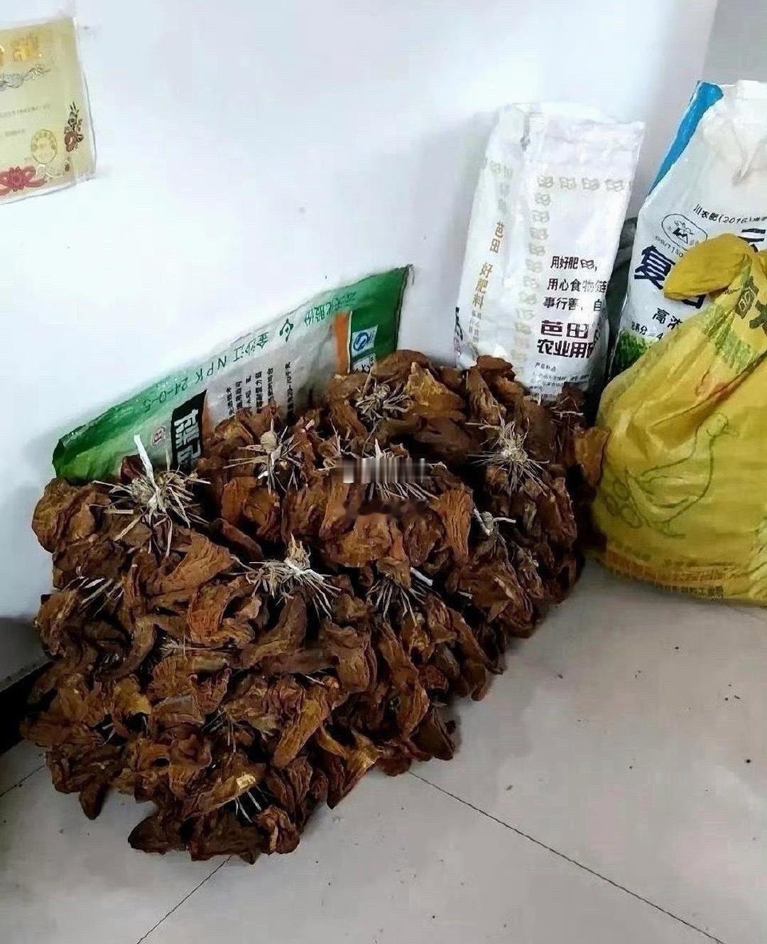 真正的大户人家让人羡慕