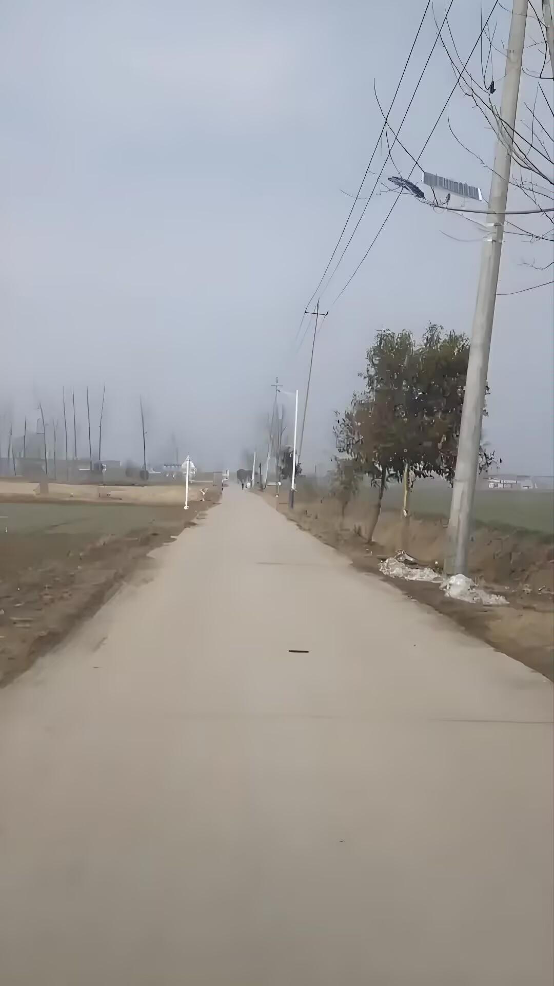 回老家上坟，才知道三婶给26岁的尿毒症儿子捐了个肾。没人特意提这事儿，就看见