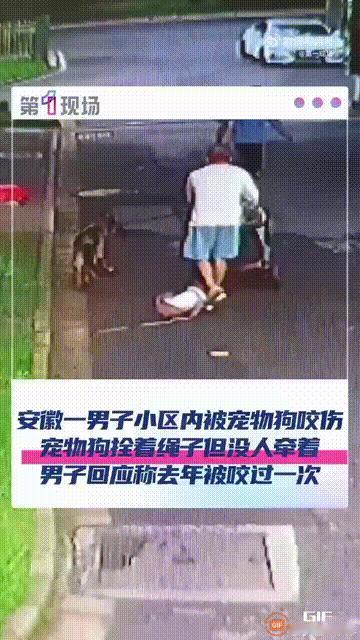 安徽马鞍山一名男子在小区走路时，突然被一只没牵绳的小狗窜出来咬了一口，由于这只小