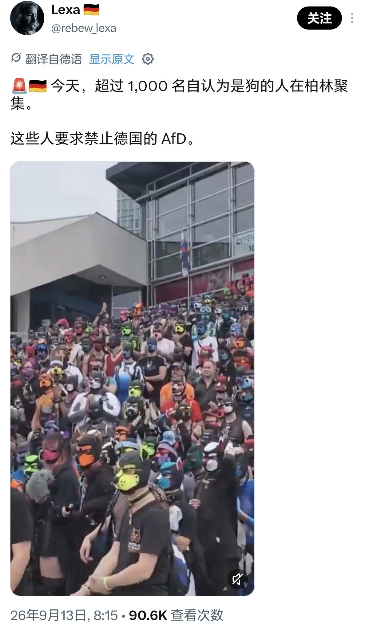 德国的滤镜又碎一块！这种左右不讨好的事是谁想出来的？乡村保守派，不可能认同；