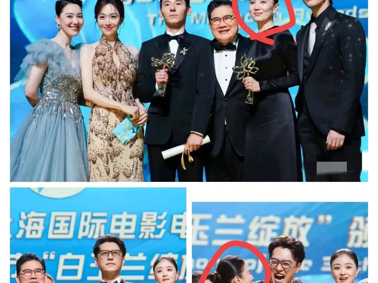太意外了！白玉兰落下帷幕万万没想到最大的赢家，居然不是宋佳、靳东，而是主