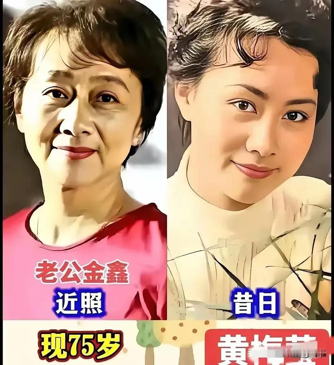 林心如现在的状态。黄梅莹现在的状态。张金玲现在的状态。刘晓庆现在的状态。