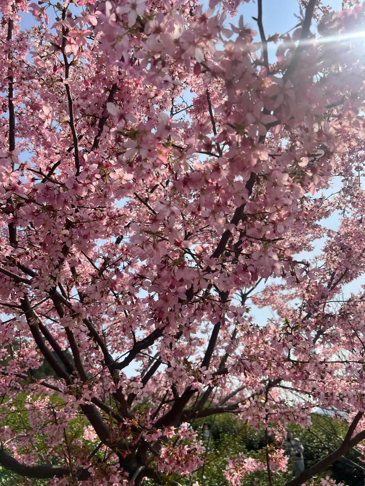 好的婚姻，都是“忍”出来的很多人以为，好的婚姻是天生合适，是从不吵架。其