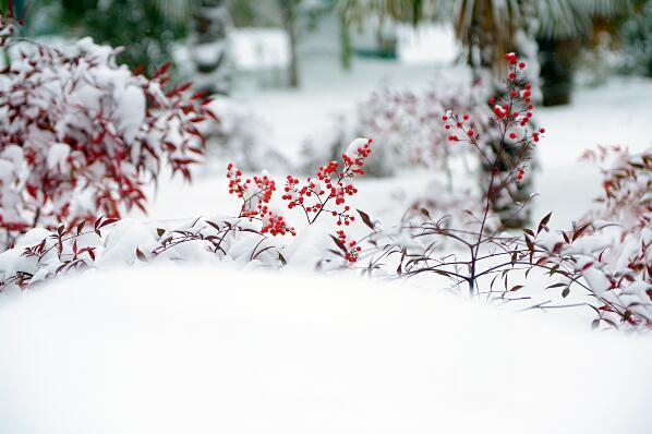降雪又降温, 寒冬腊月除了防寒还要注意些啥?