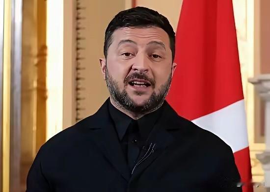 乌克兰内部闹翻。泽连斯基表态强硬，前总理公开批评路线错误，基辅市长怒怼泽连斯基，