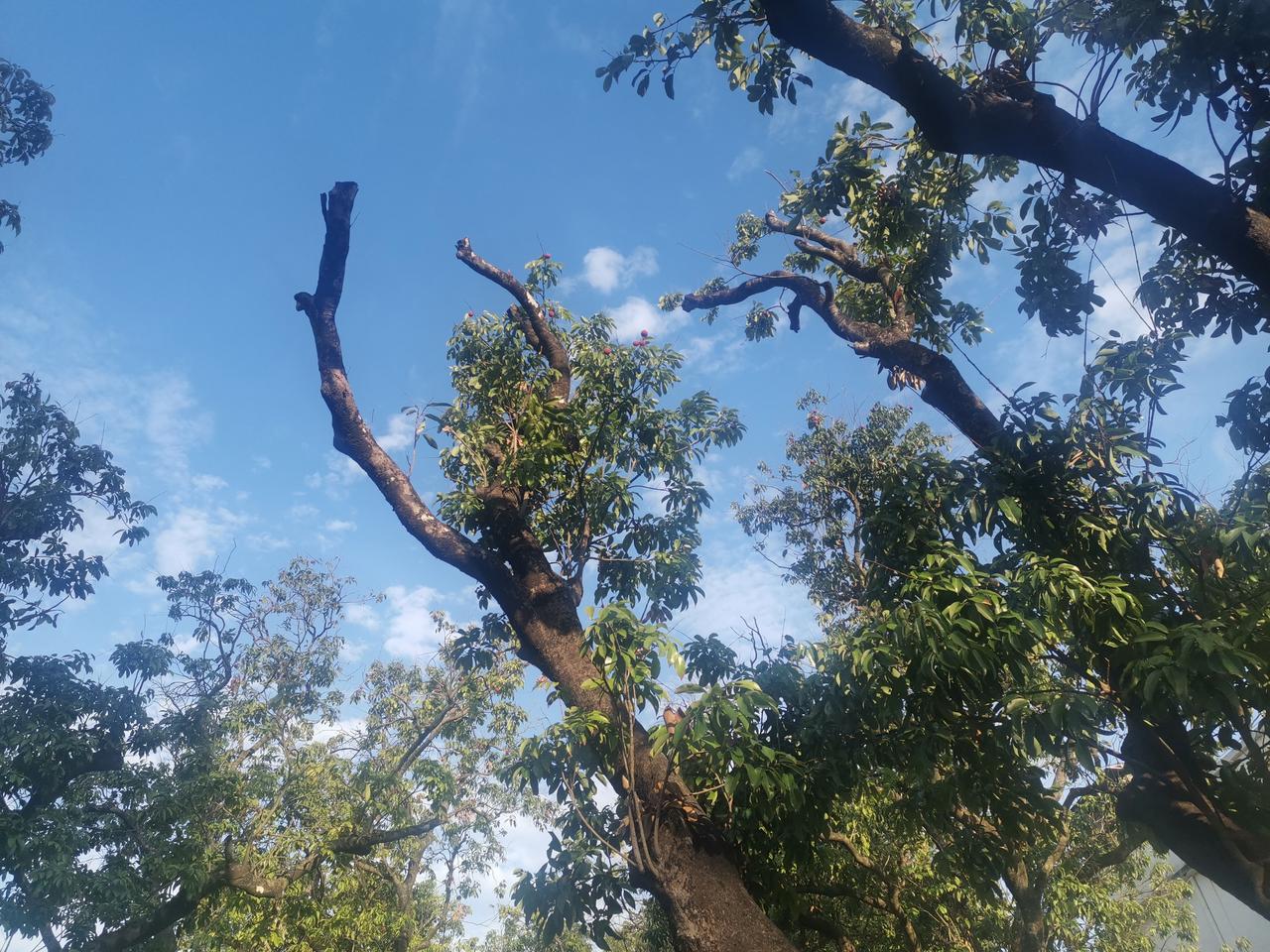 前几年的特岗教师成了上岸在编教师的最后一拨人，也是比较幸运的一批人，因为前几年考